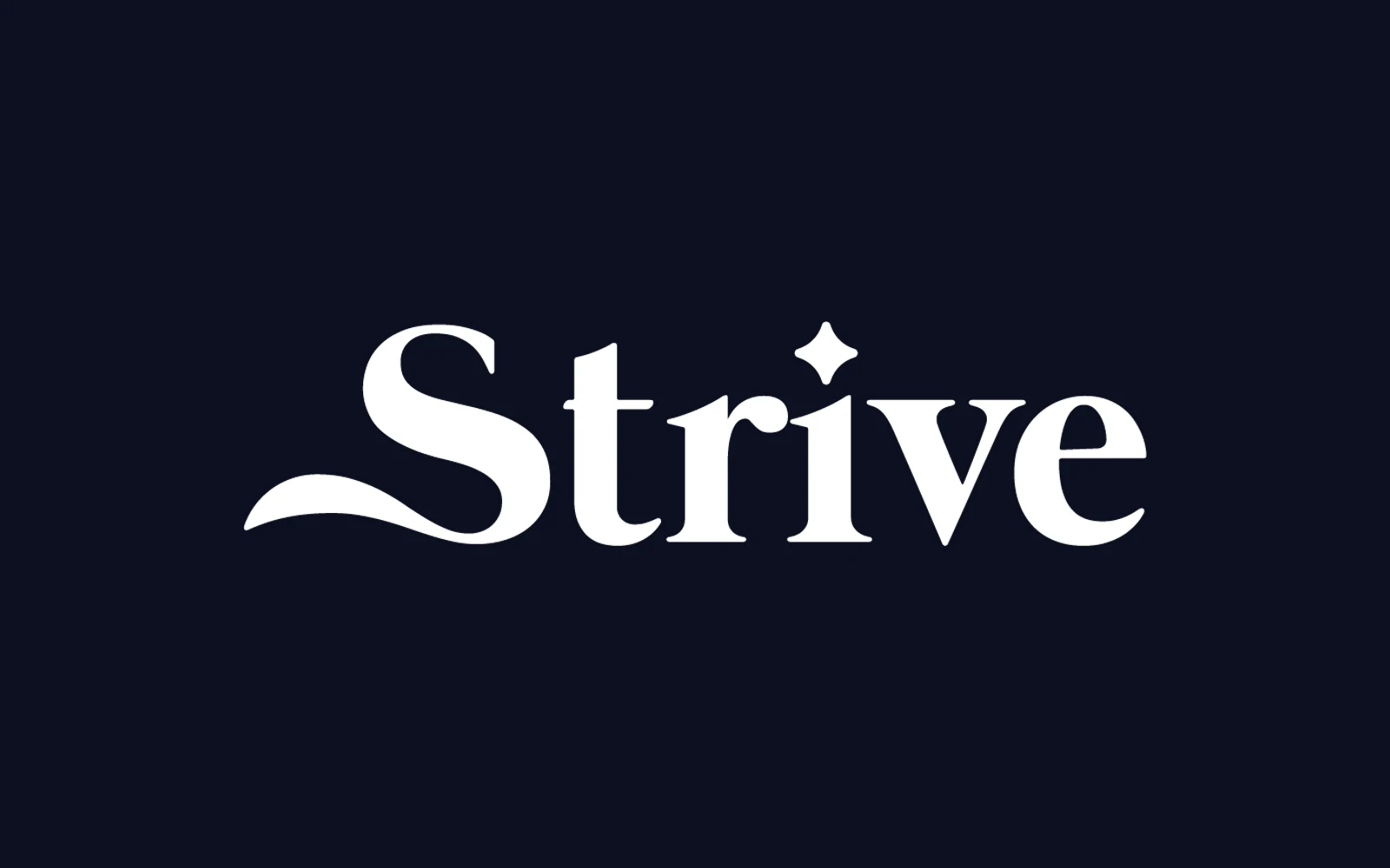 Strive-Wortmarke weiß auf Navy