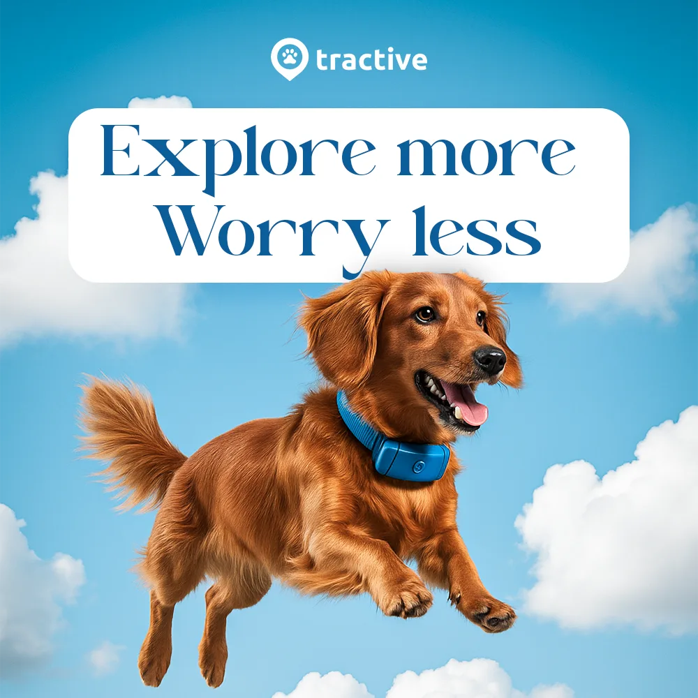 Post „Explore more – worry less“
